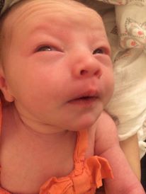 11758960_10153530247571967_2099397287_n