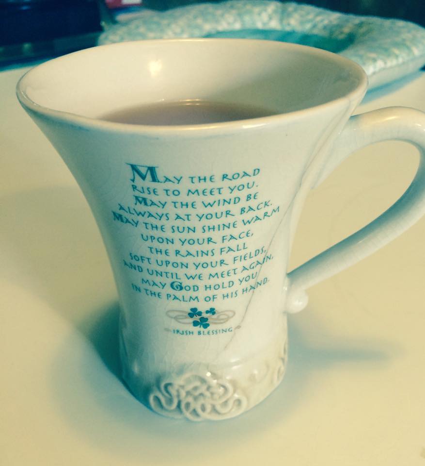 12516269_10207174586855990_1923996882_n